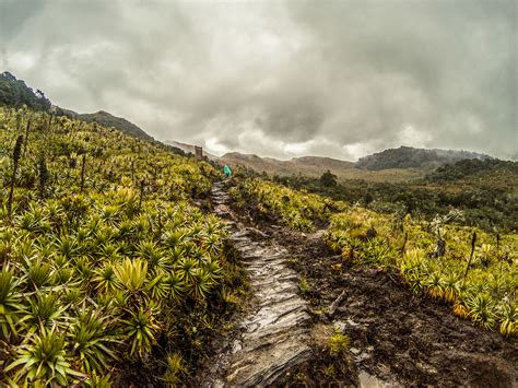  eXploring Colombian Landscapes: An Impressionist Journey Through the Andes