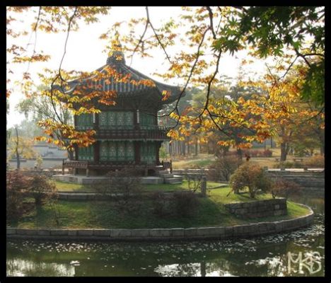  Journey to the Land of Morning Calm: A Photographic Exploration of South Korea's Enigmatic Beauty