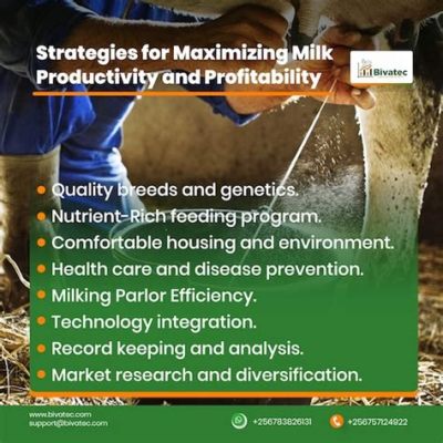   “Optimizing Your Dairy Farm: A Practical Guide to Profitability” - Journey into Sustainable Bovine Bliss! 